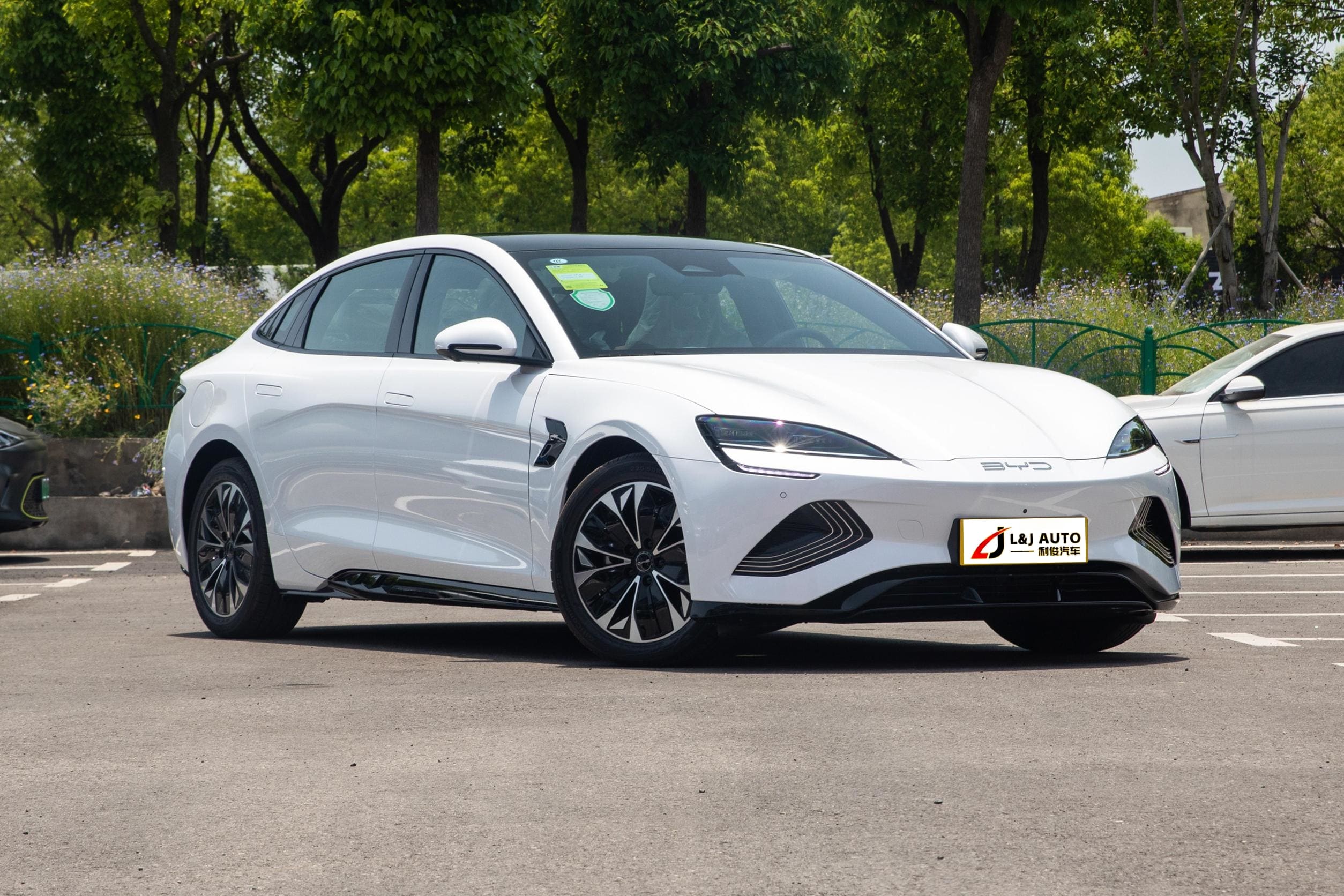 china ev